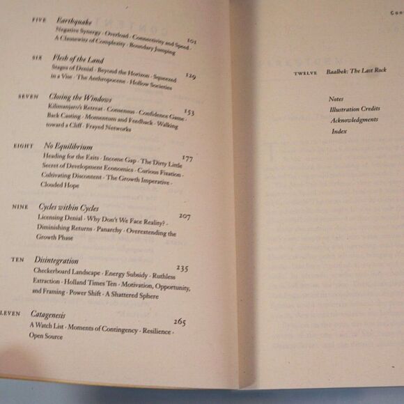 Upside of Down Catastrophe Creativity Renewal By Thomas Homer Dixon 2007 PB - Picture 7 of 10